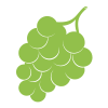 Houdbaarheid Fruit