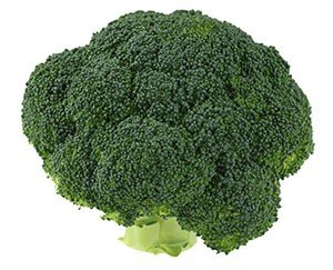 Broccoli Bewaren