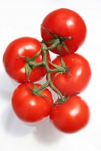 Tomaten Bewaren