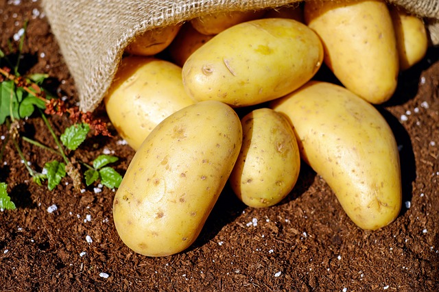Moet je aardappels in de koelkast bewaren